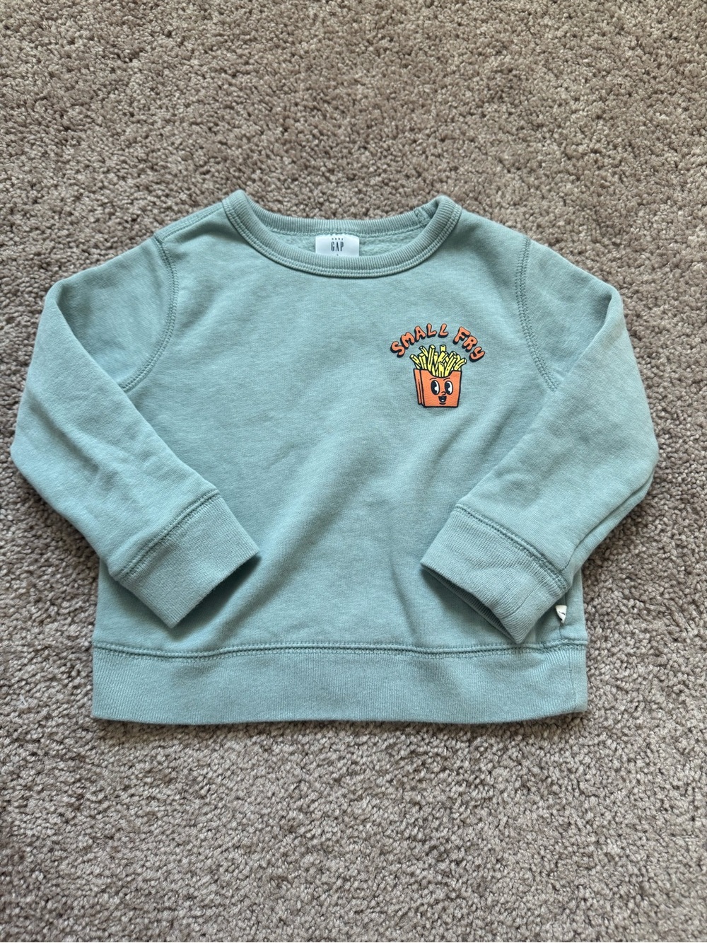 Toddler Boy Gap Crewneck Sweatshirt Size 3 yrs Mint Green “Small Fry” EUC Cotton